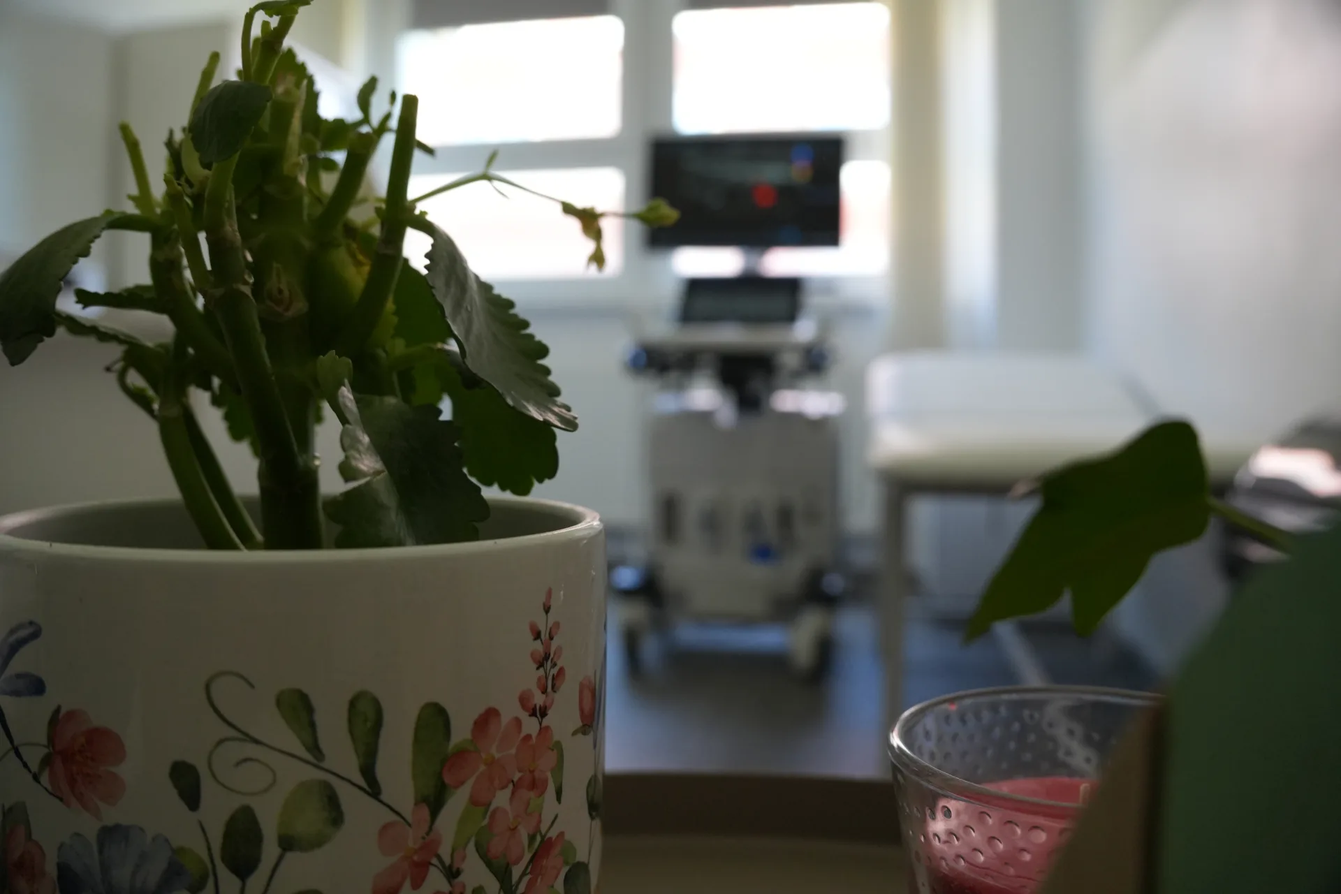 Priestory angiologickej ambulancie Sabinov